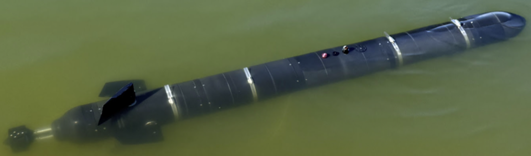 Morpho AUV in water
